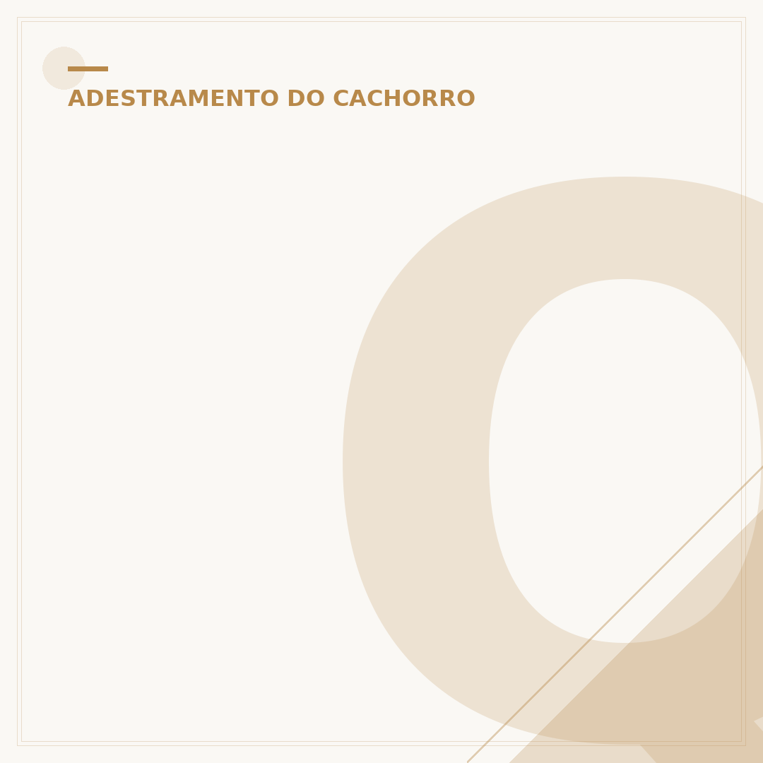 Quanto custa um adestramento de cachorro?