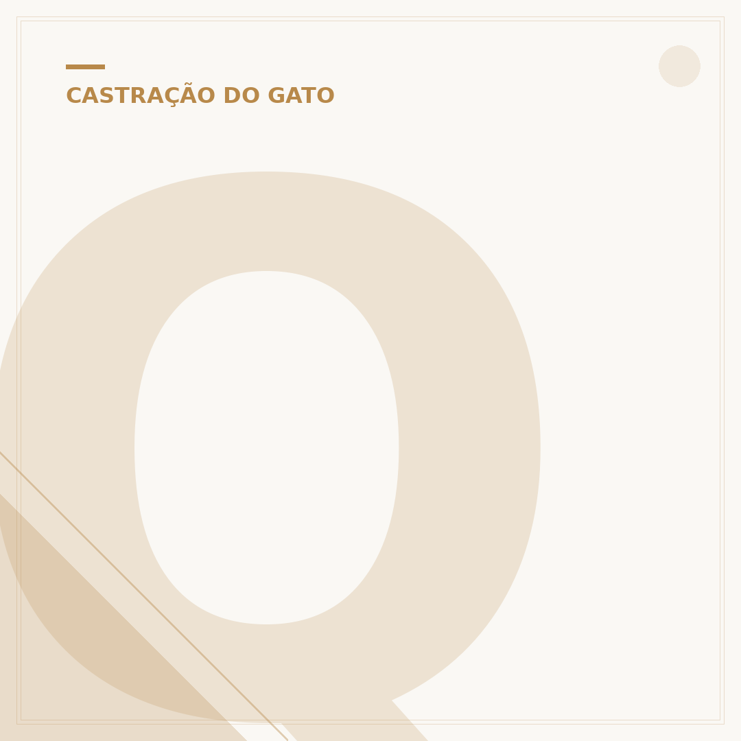 Quanto custa a castração de gato macho