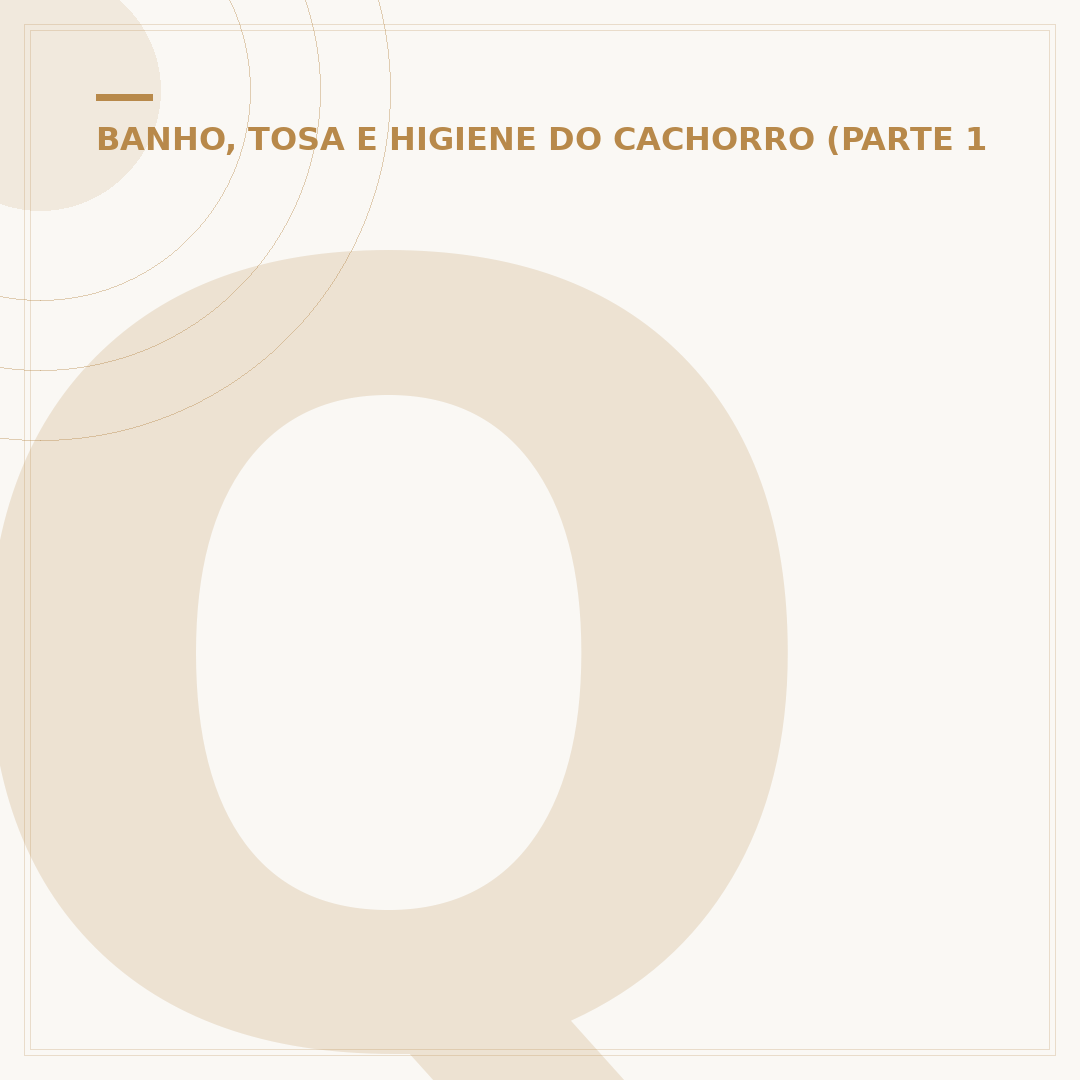 Quanto custa banho e tosa: entenda os fatores de preço