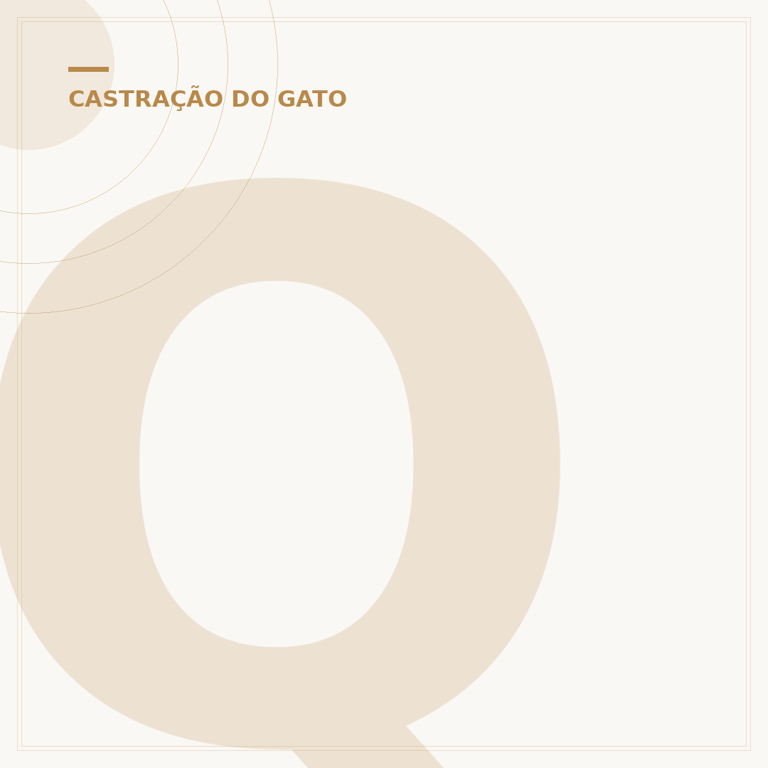 Quanto custa para castrar um gato?