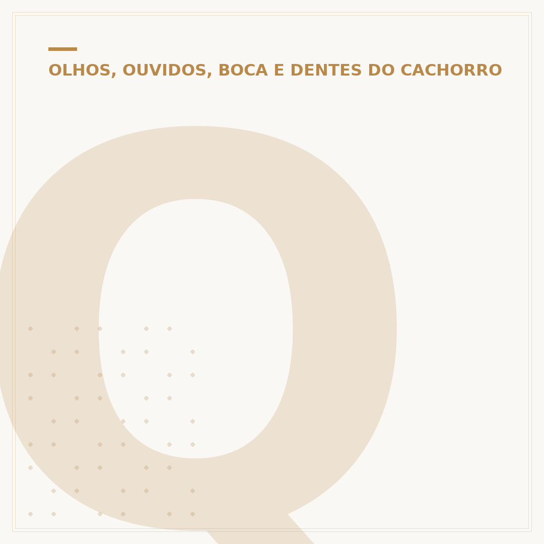 Quanto custa a cirurgia de catarata em cachorro?