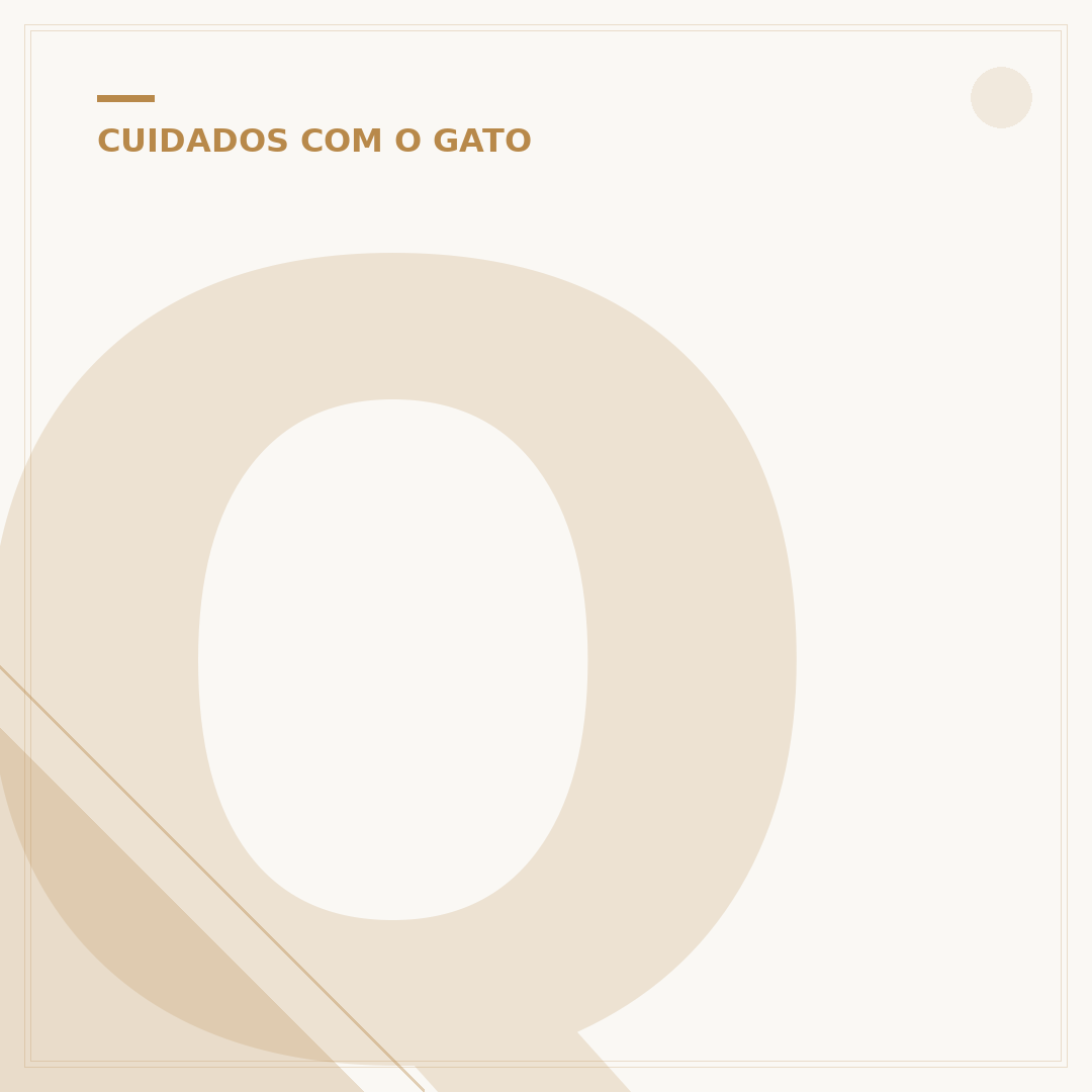 Quanto custa ter um gato: despesas iniciais e contínuas