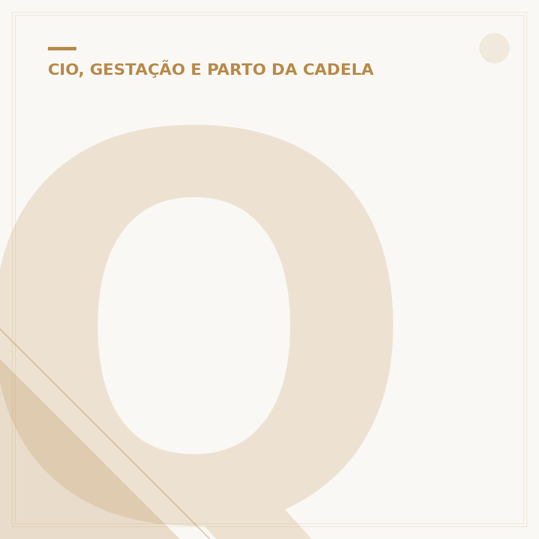 Quanto dura a gestação de um cachorro?