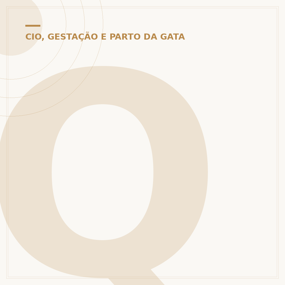 Quanto tempo dura o primeiro cio do gato?
