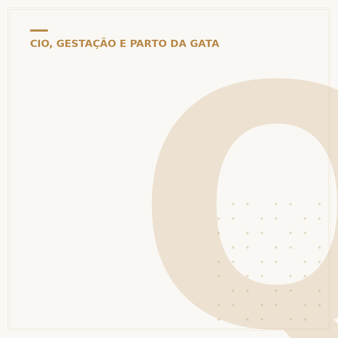 Quanto tempo a gata fica prenha?