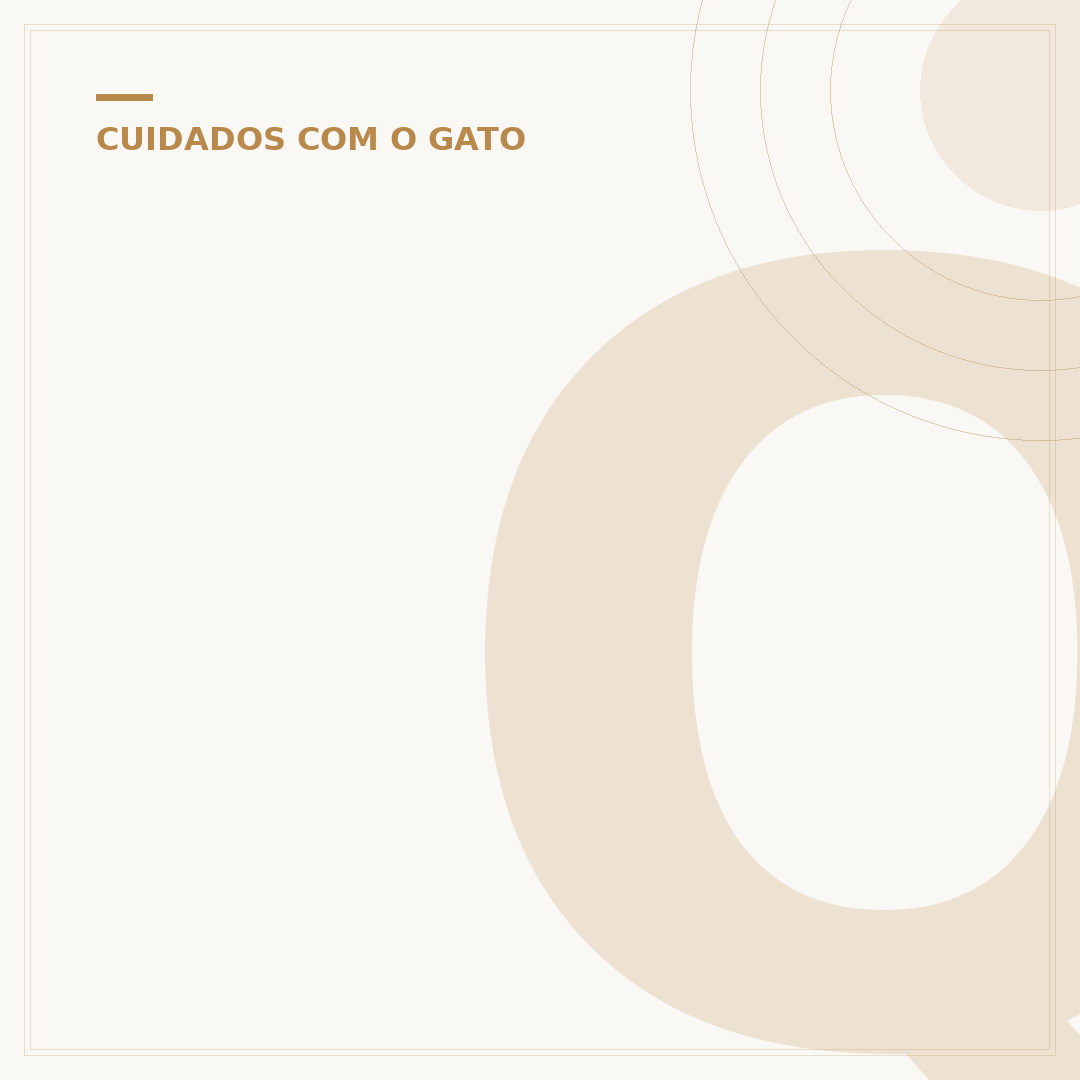 Quantos anos dura um gato?