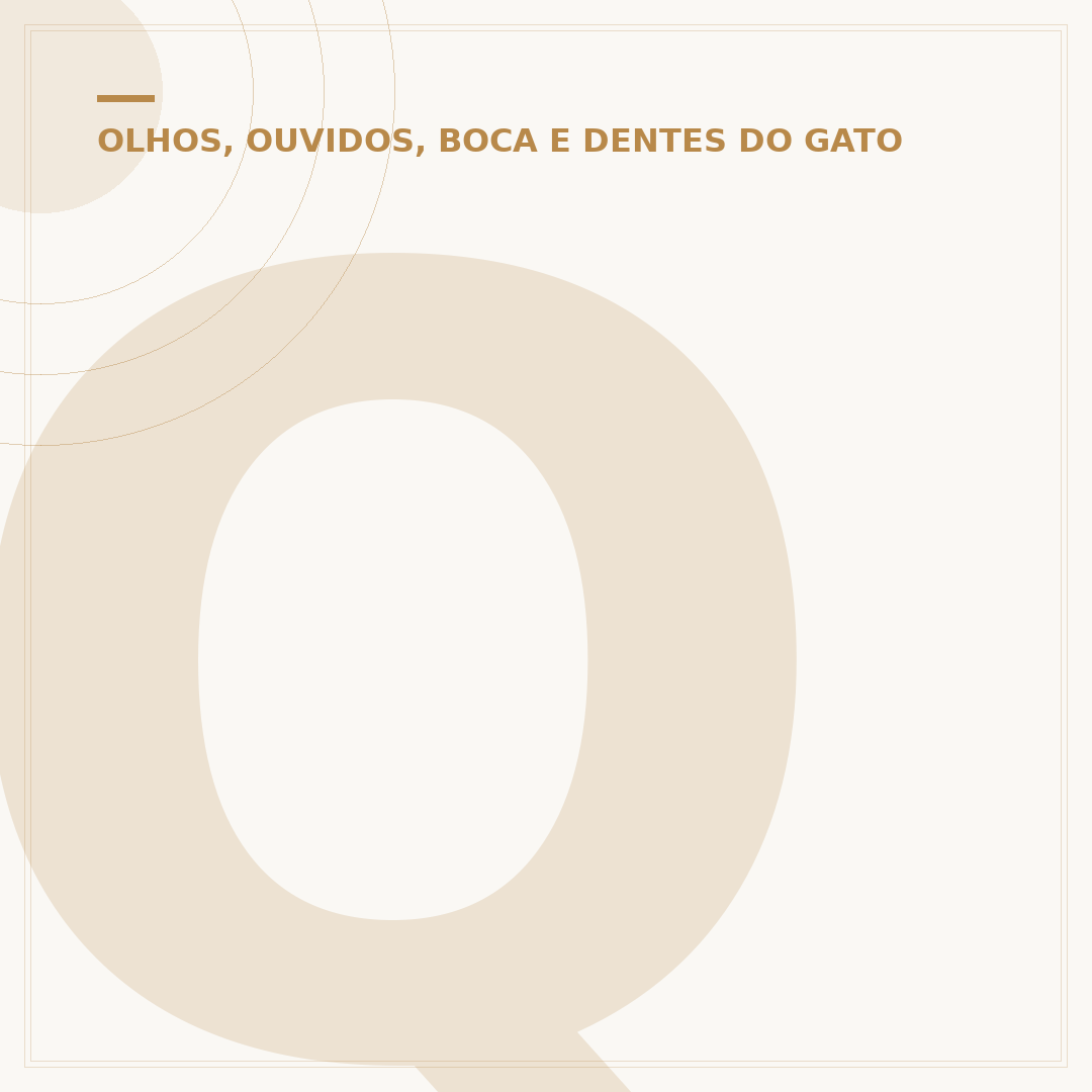 Quantos dentes tem um gato adulto? Entenda a dentição felina