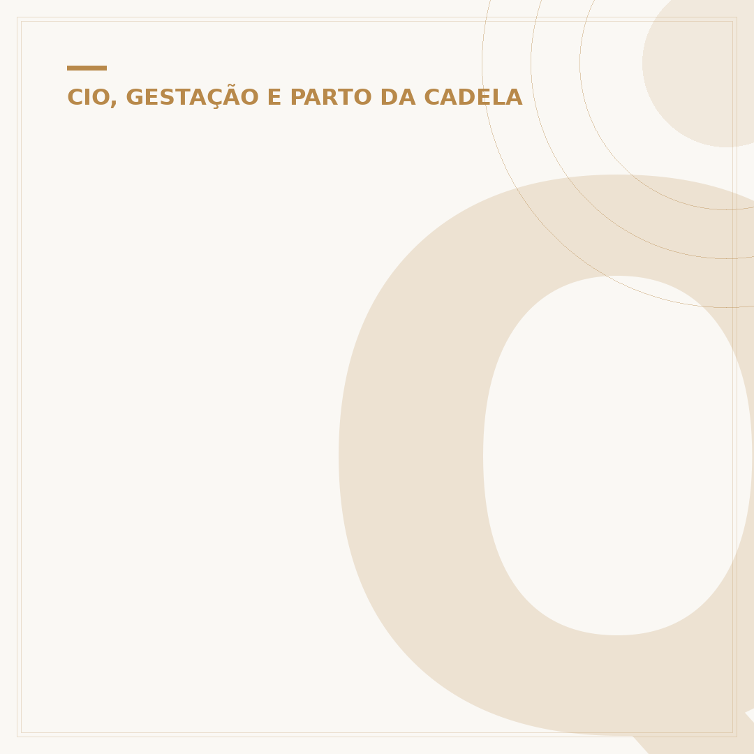Quantos dias dura o cio de uma cachorra?