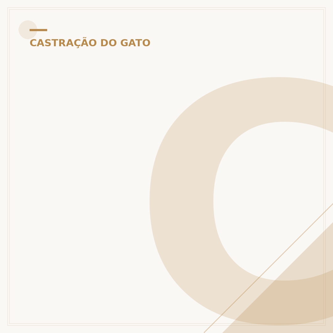 Com quantos meses pode castrar um gato fêmea?