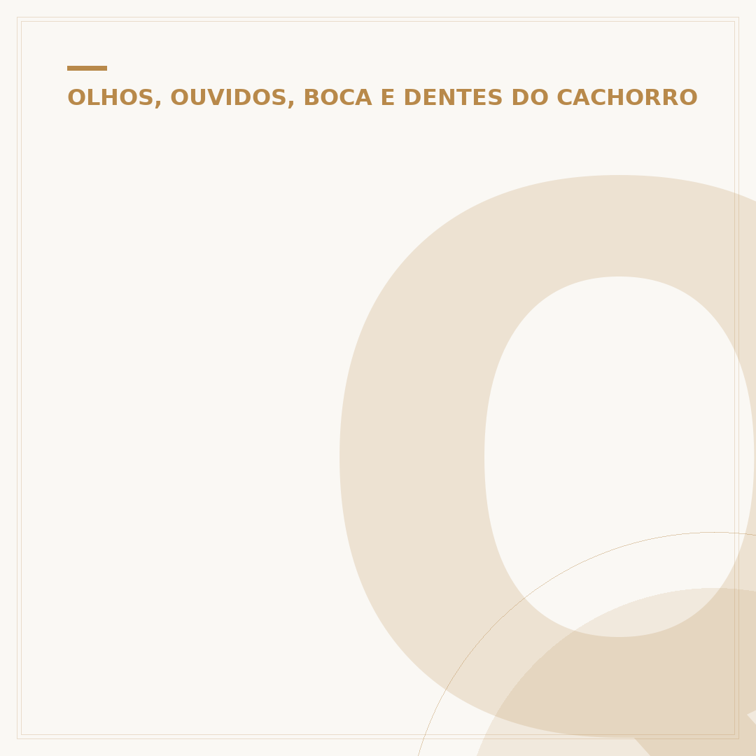 Quem foi os adolescentes que mataram o cachorro Orelha?