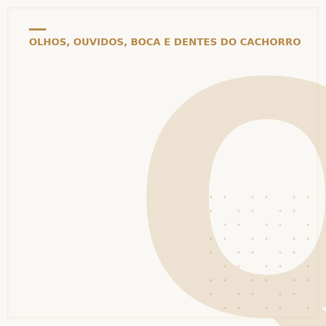 Quem foi que matou o cachorro orelha: mistério e contexto