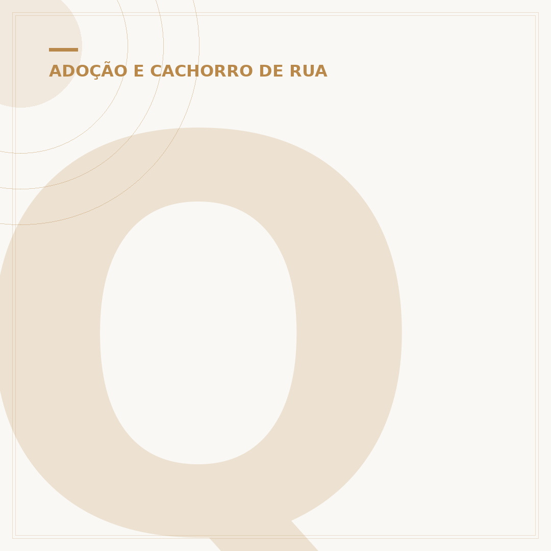 Quero adotar um cachorro de pequeno porte: o que saber?