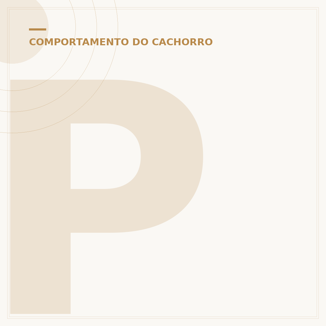 Para que serve o rabo do cachorro: funções e comunicação