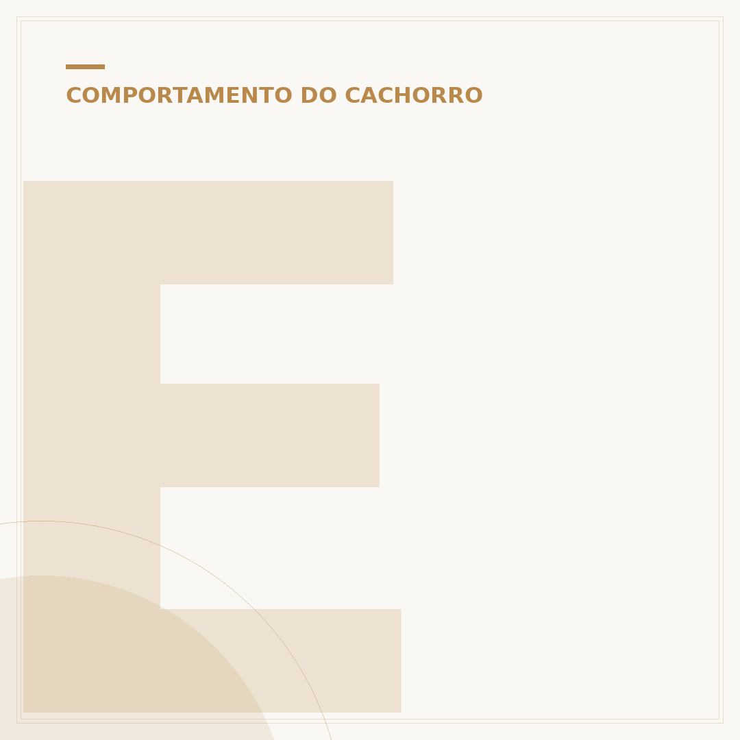 Entenda o rabo do cachorro: função, sinais e cuidados