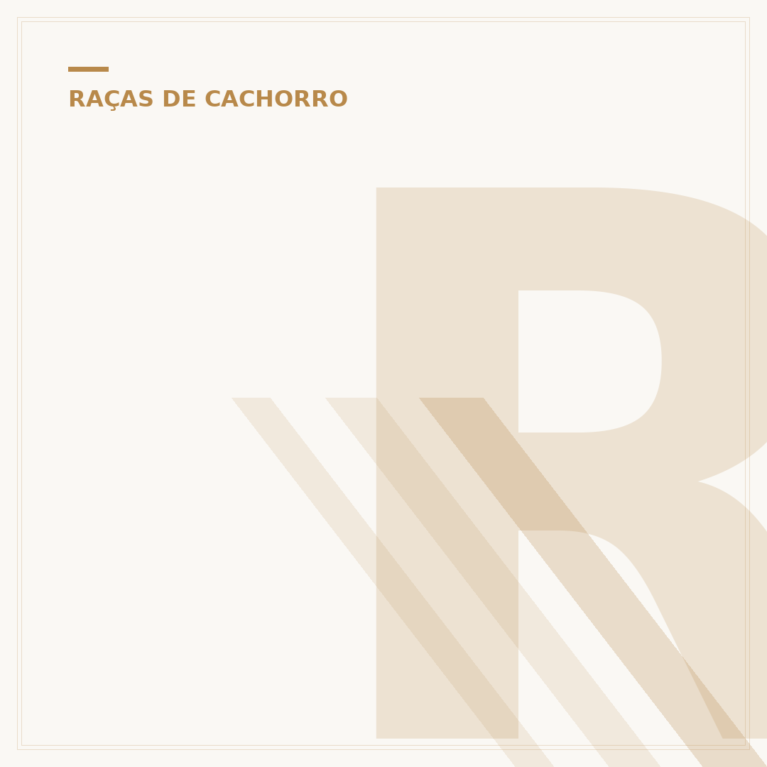 Raça de cachorro Lulu: características e cuidados