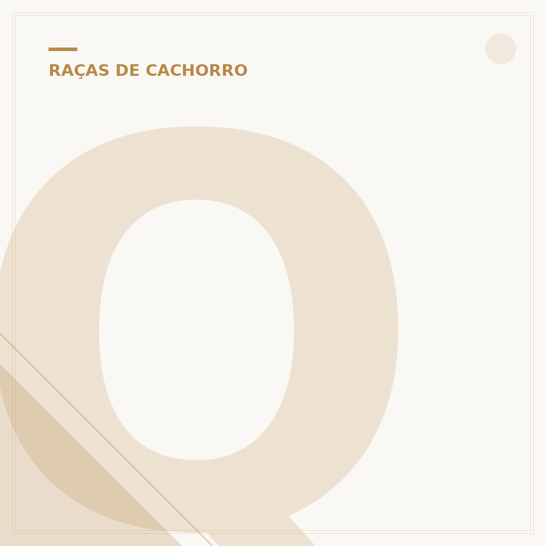 Qual a raça de cachorro mais inteligente do mundo?