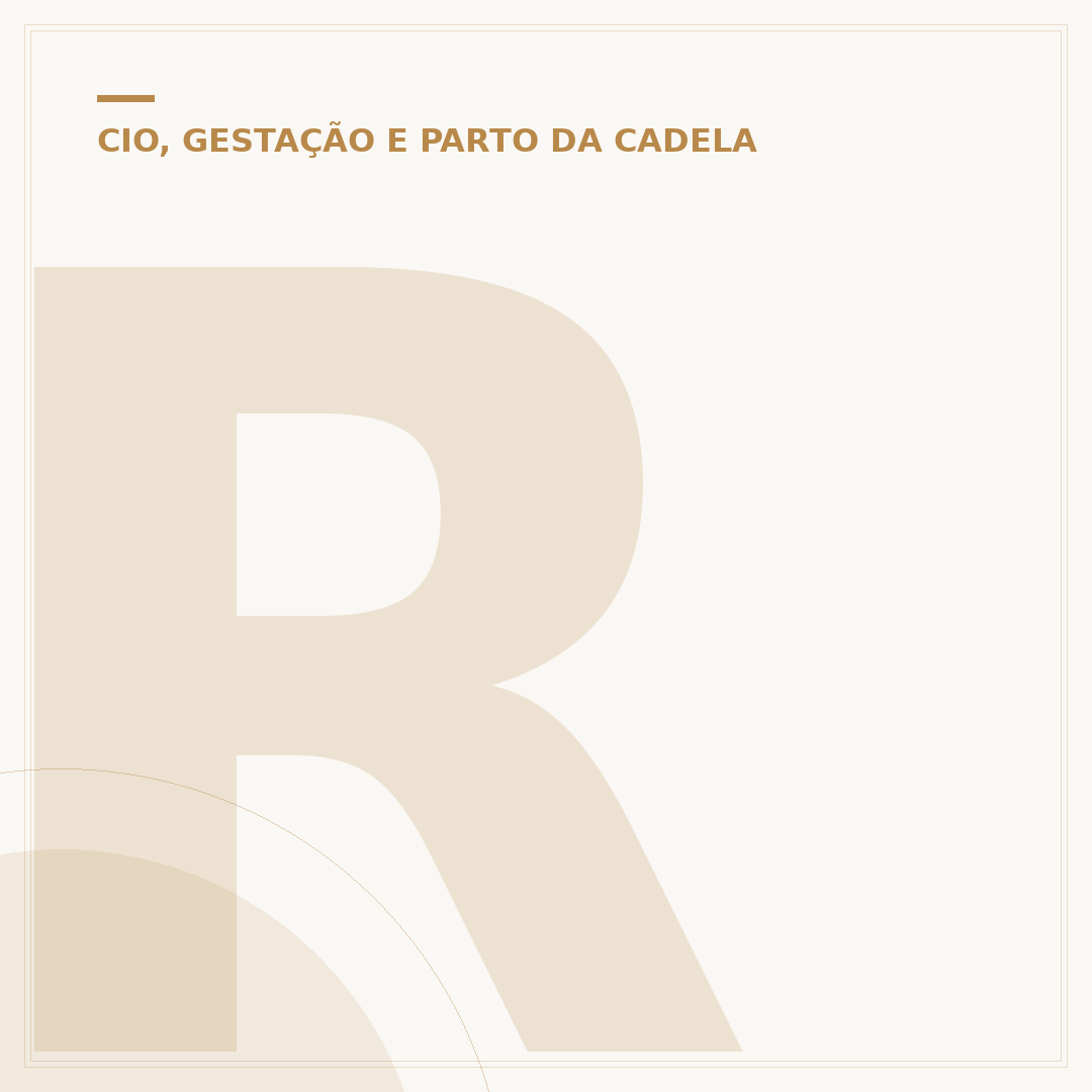 Ração para cadela amamentando