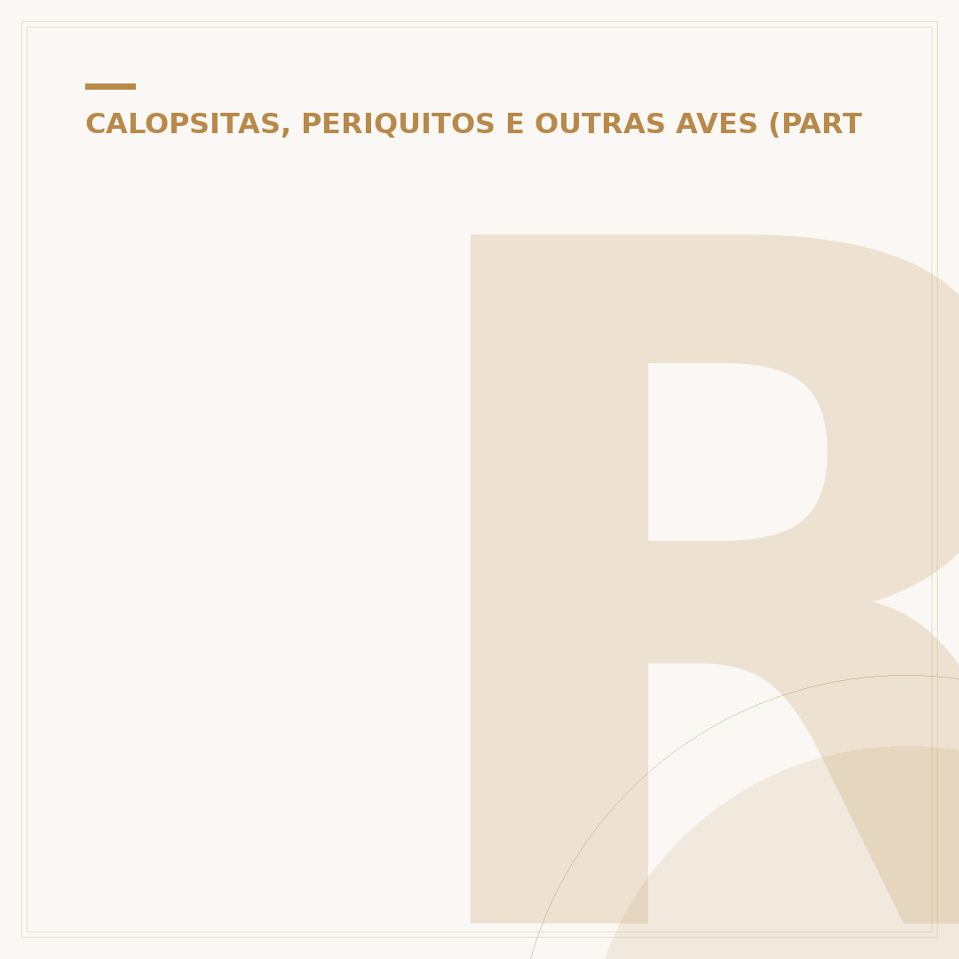 Ração para calopsita: o que escolher e por quê