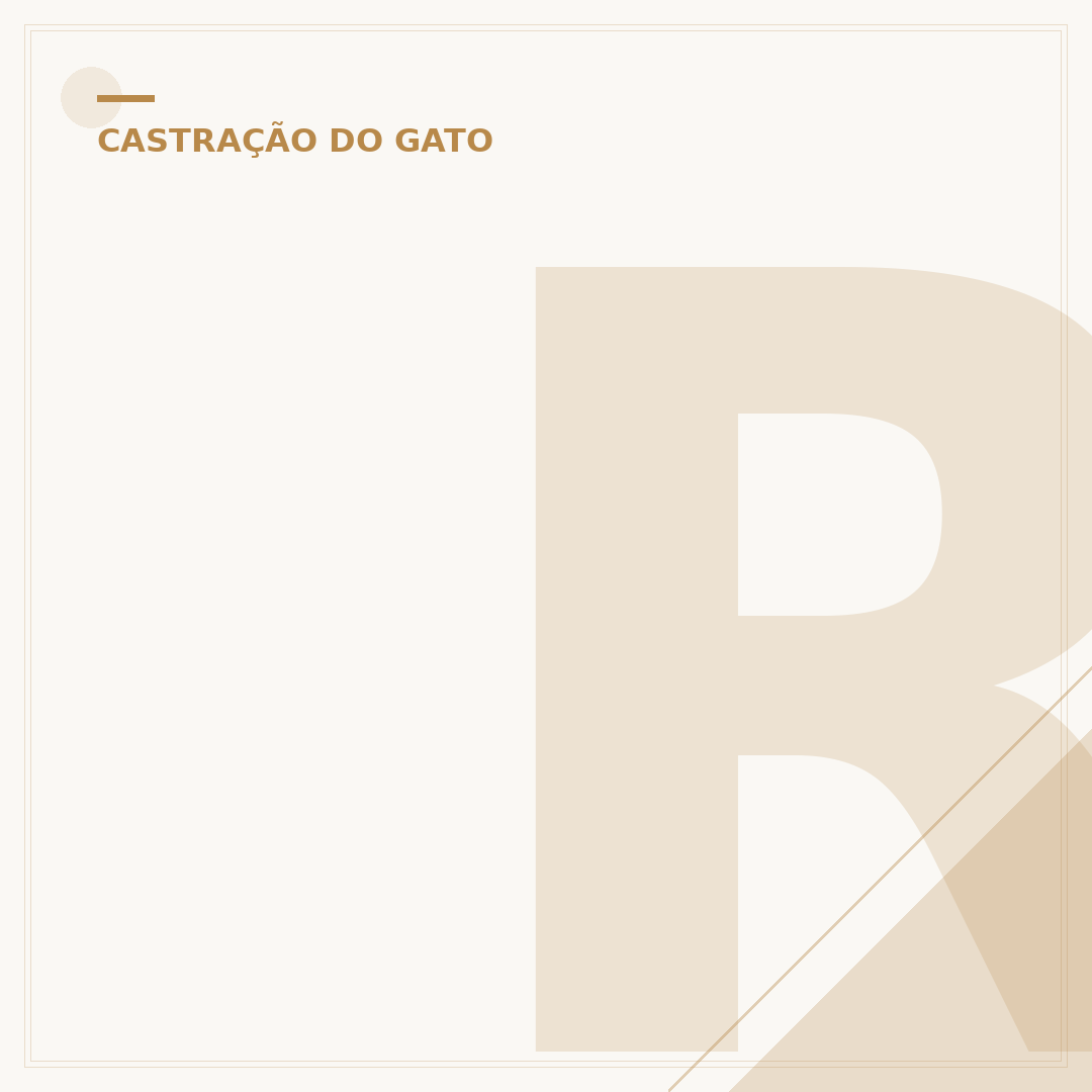 Ração natural para gatos castrados