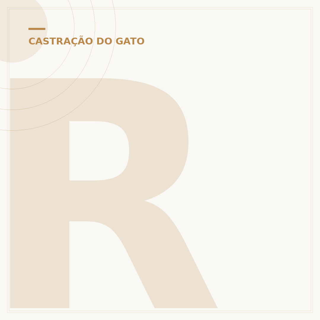 Ração para diminuir a queda de pelo de gato castrado