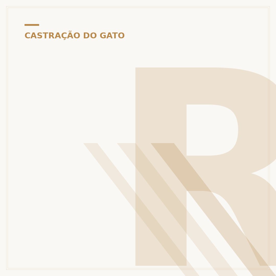 Ração super premium para gatos castrados