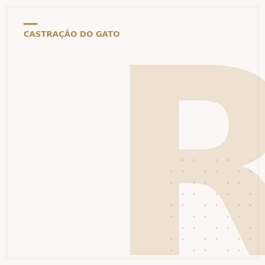 Ração Supreme gato castrado: nutrição para uma vida saudável