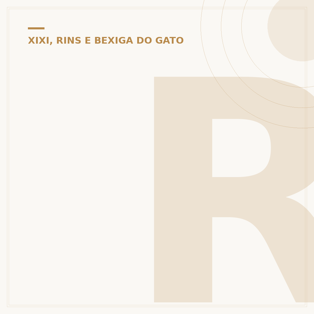 Ração úmida renal para gatos