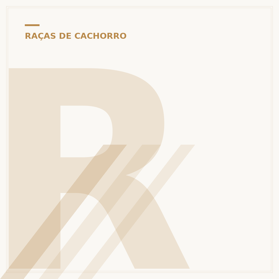 Raças de cachorro preto e branco