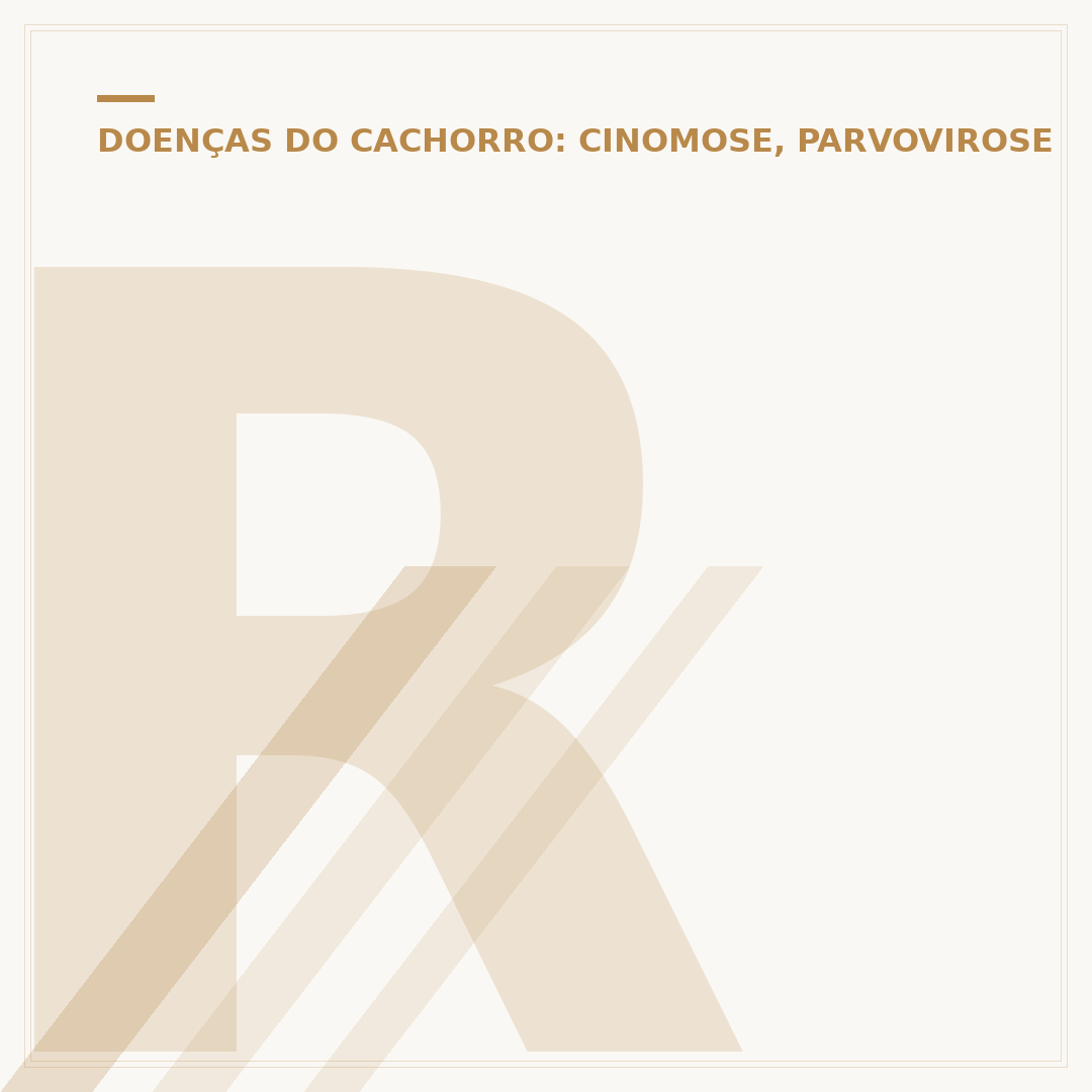 Raiva em cachorro: entenda se a doença tem cura