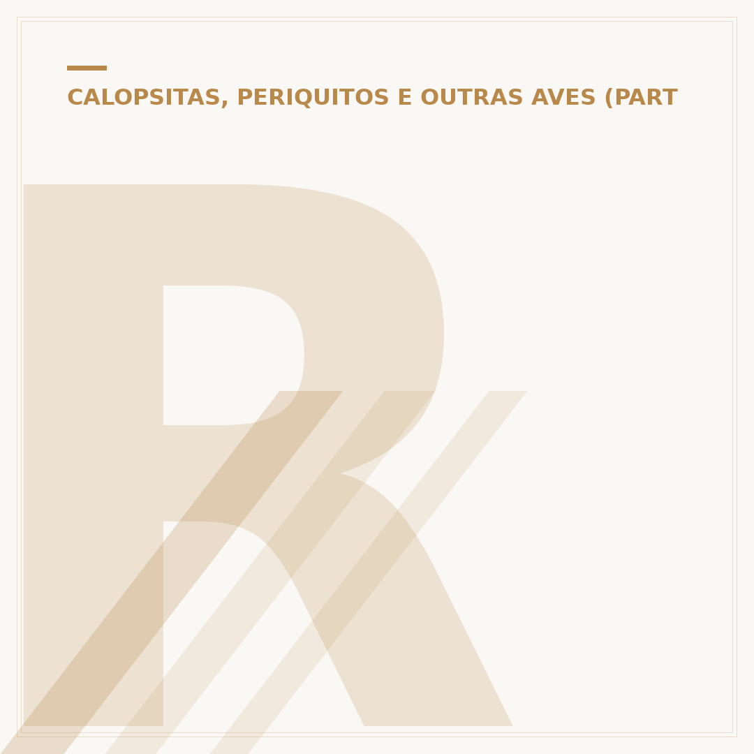 Recanto do Papagaio: um santuário para aves exóticas