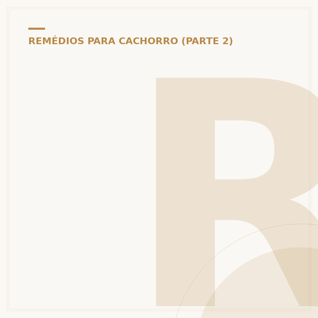 Remédio para cachorro gripado: o que dar e como cuidar