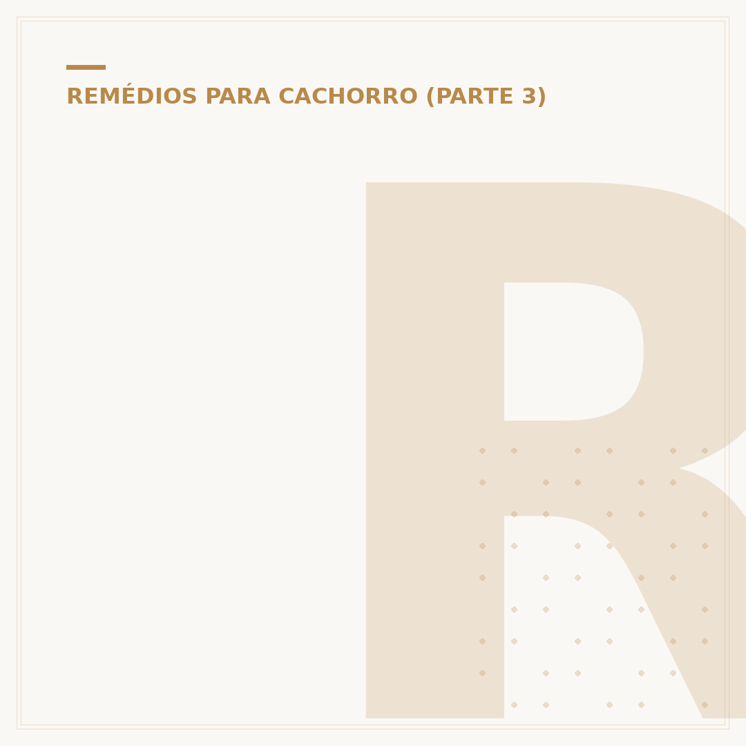 Remédio caseiro para paralisia em cachorro: o que fazer?