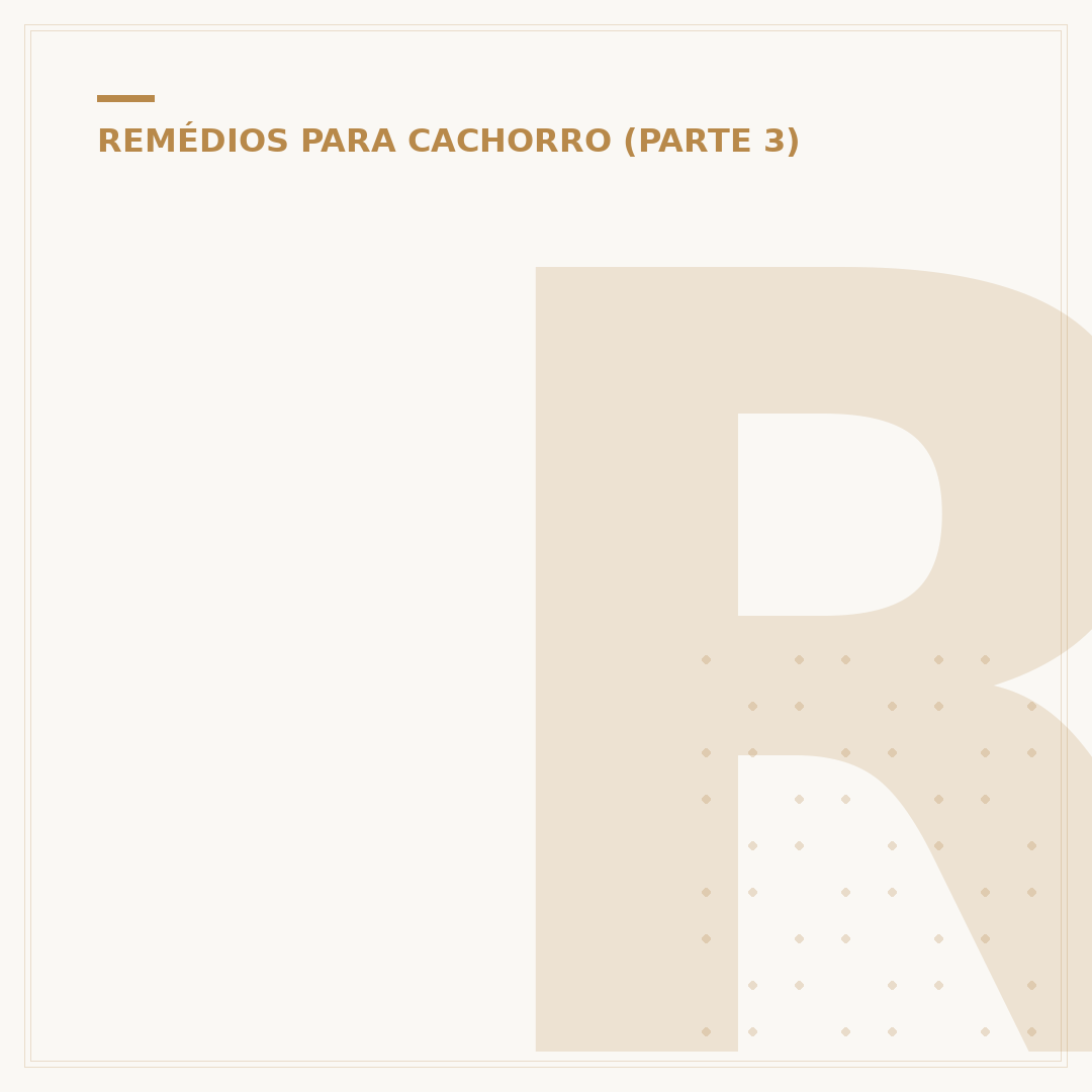 Remédio para pira de cachorro: quando e como usar