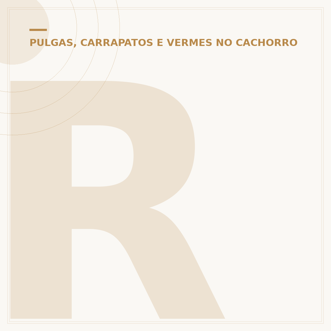 Remela no olho do cachorro: pode ser verme?