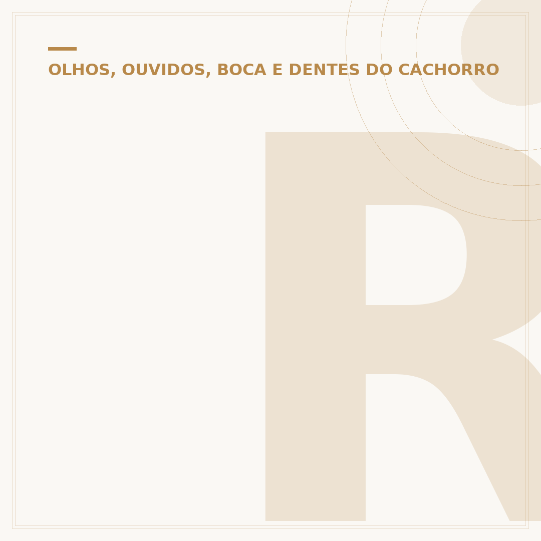 Remela no olho do cachorro: causas, sinais e cuidados