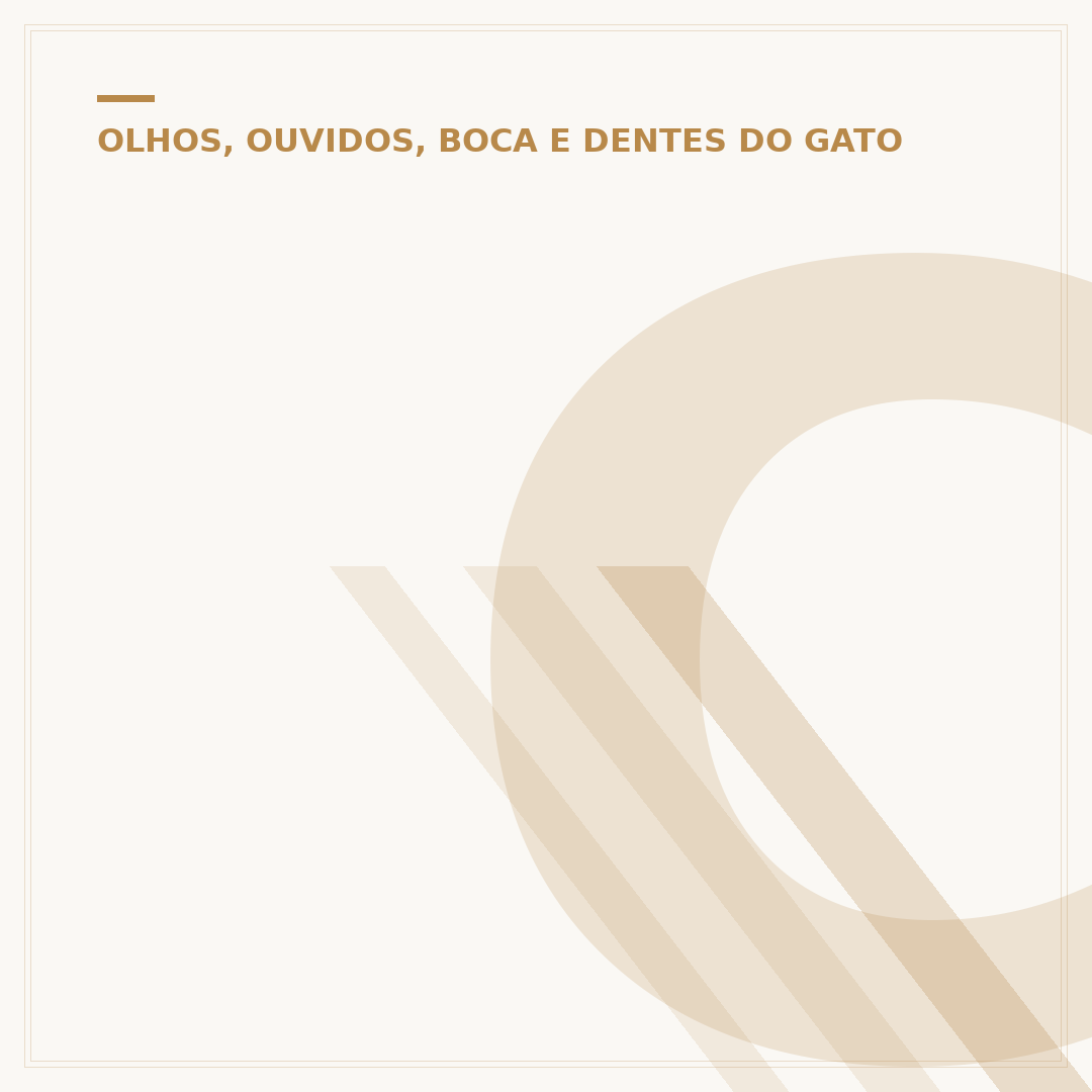 Como tratar remela no olho de filhote de gato