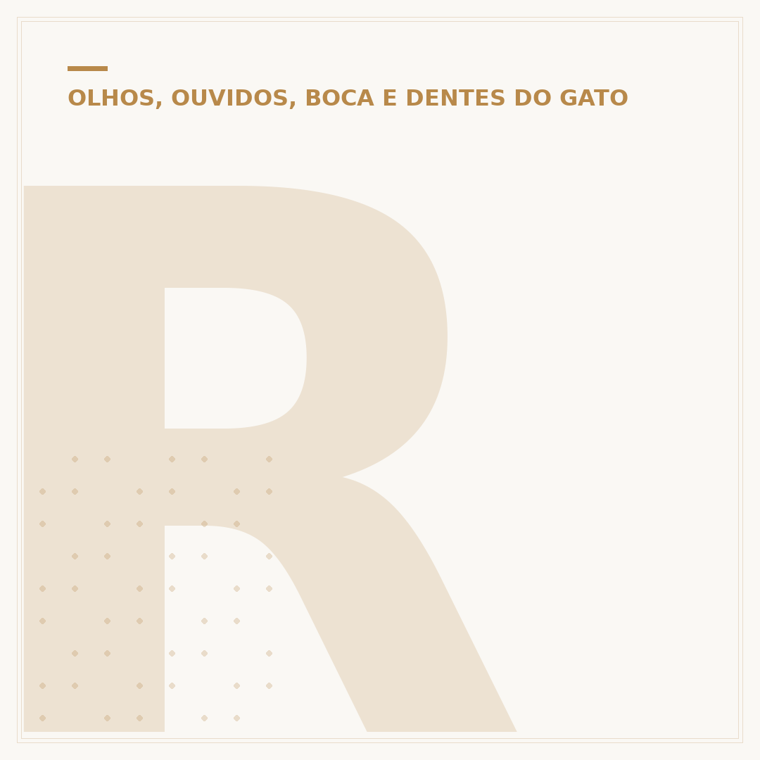 Remela no olho do gato filhote: causas e cuidados
