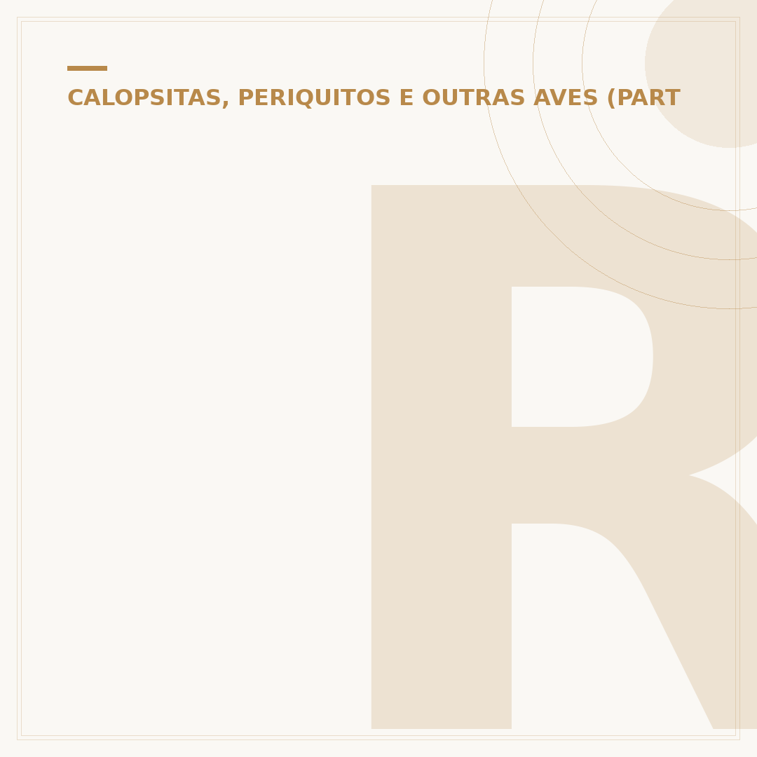 Restaurante Guardião do Papagaio: o que esperar