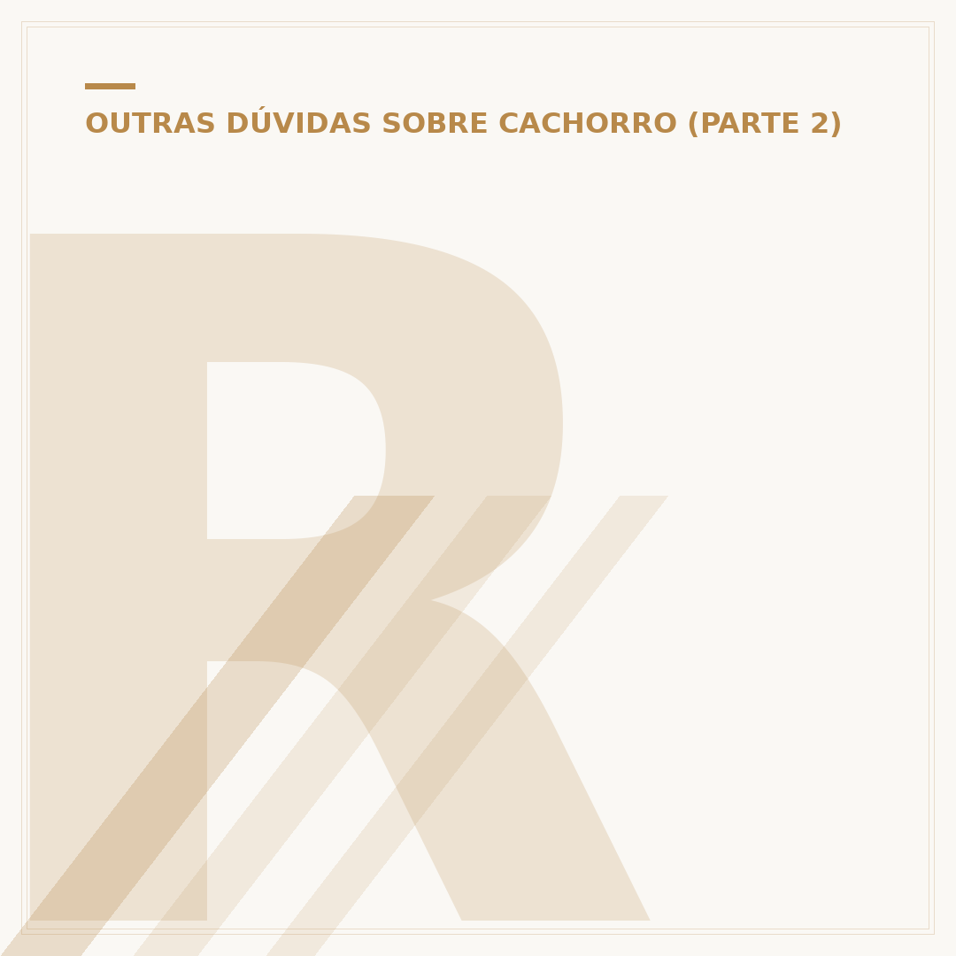 Rosa canina: benefícios, usos e propriedades da planta