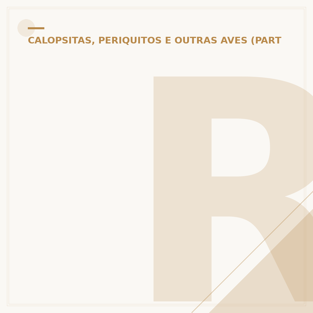 Roupa para calopsita