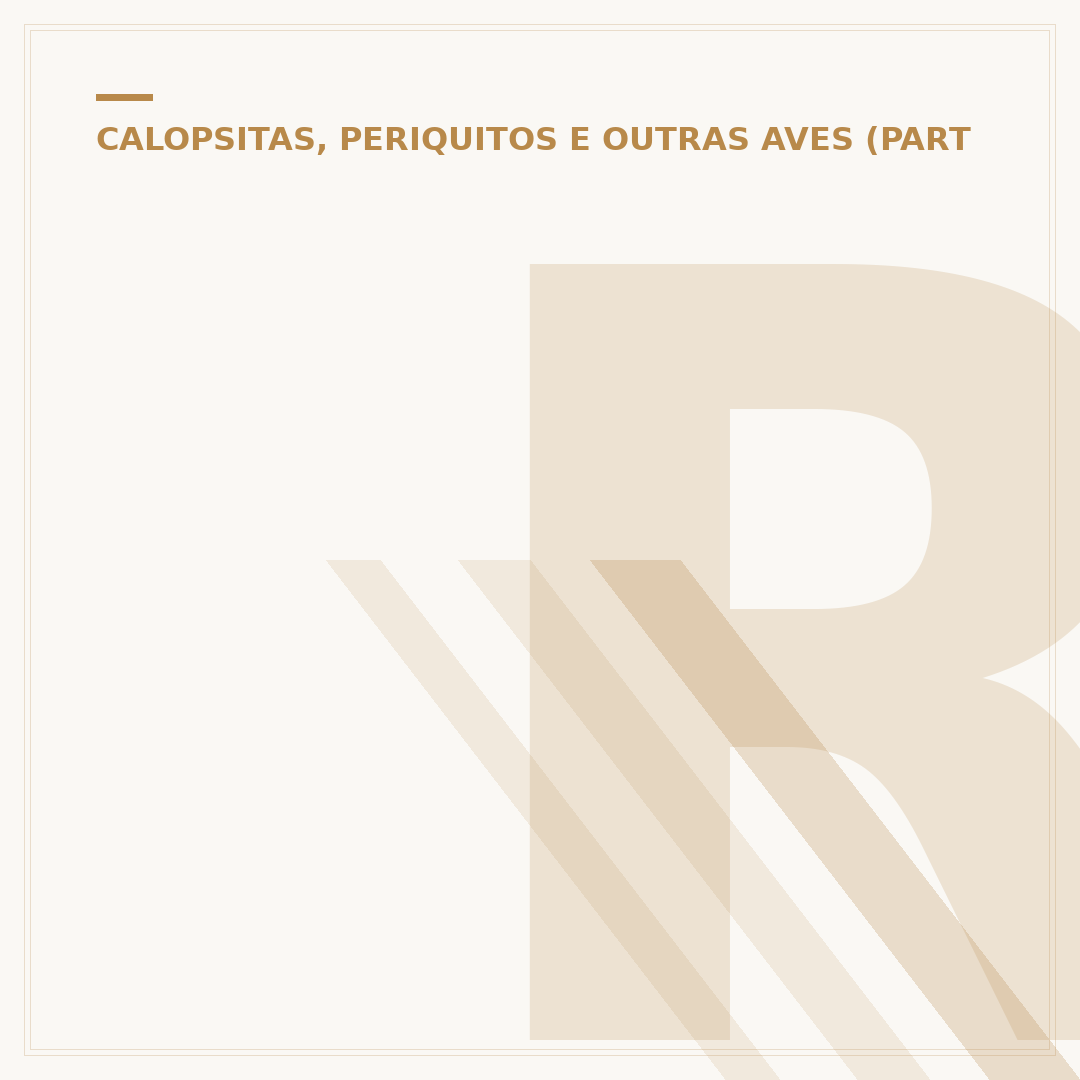 Rua Canário: o que você precisa saber