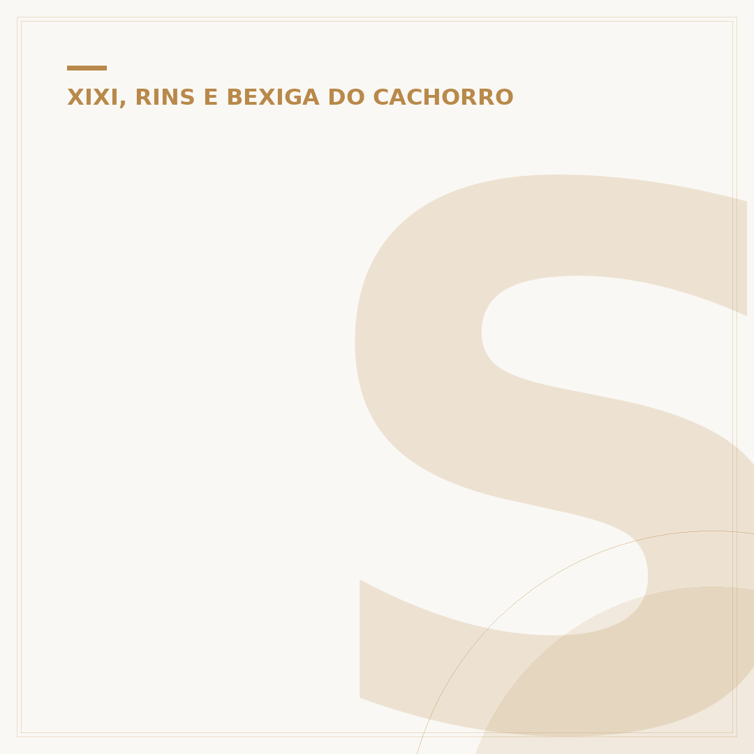 Sachê renal para cães: suporte à saúde dos rins