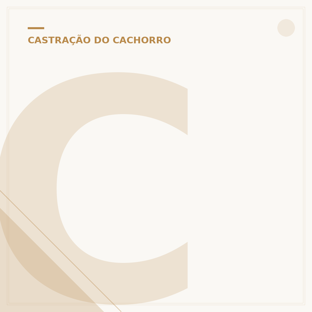 Como fica o saco do cachorro depois de castrado