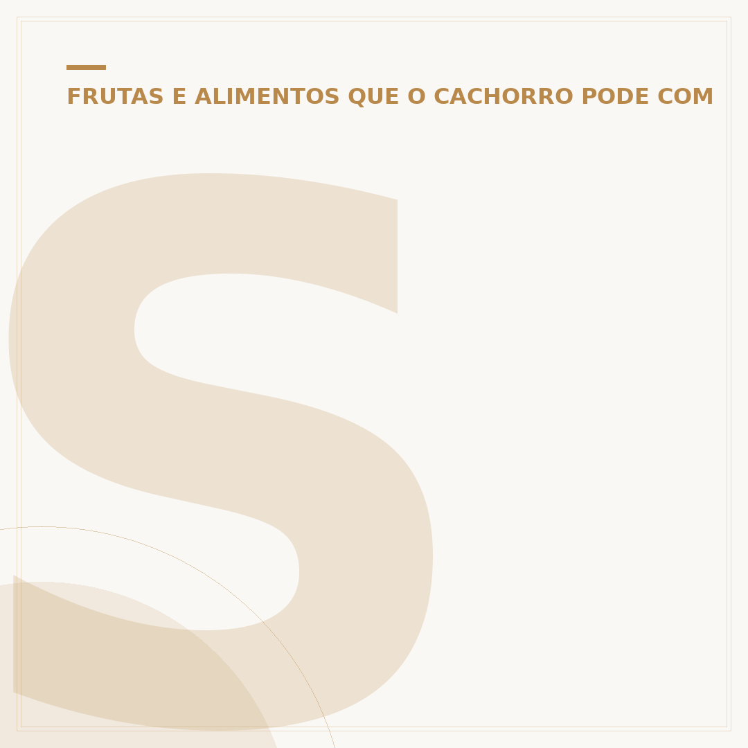 Salsicha cachorro peludo: entenda a raça e seus tipos
