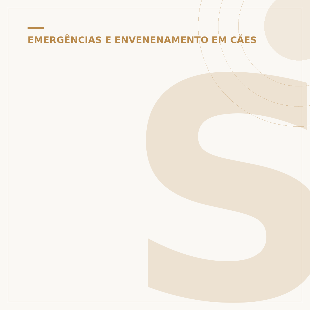 Sapo é venenoso para cachorro? O que fazer e como evitar