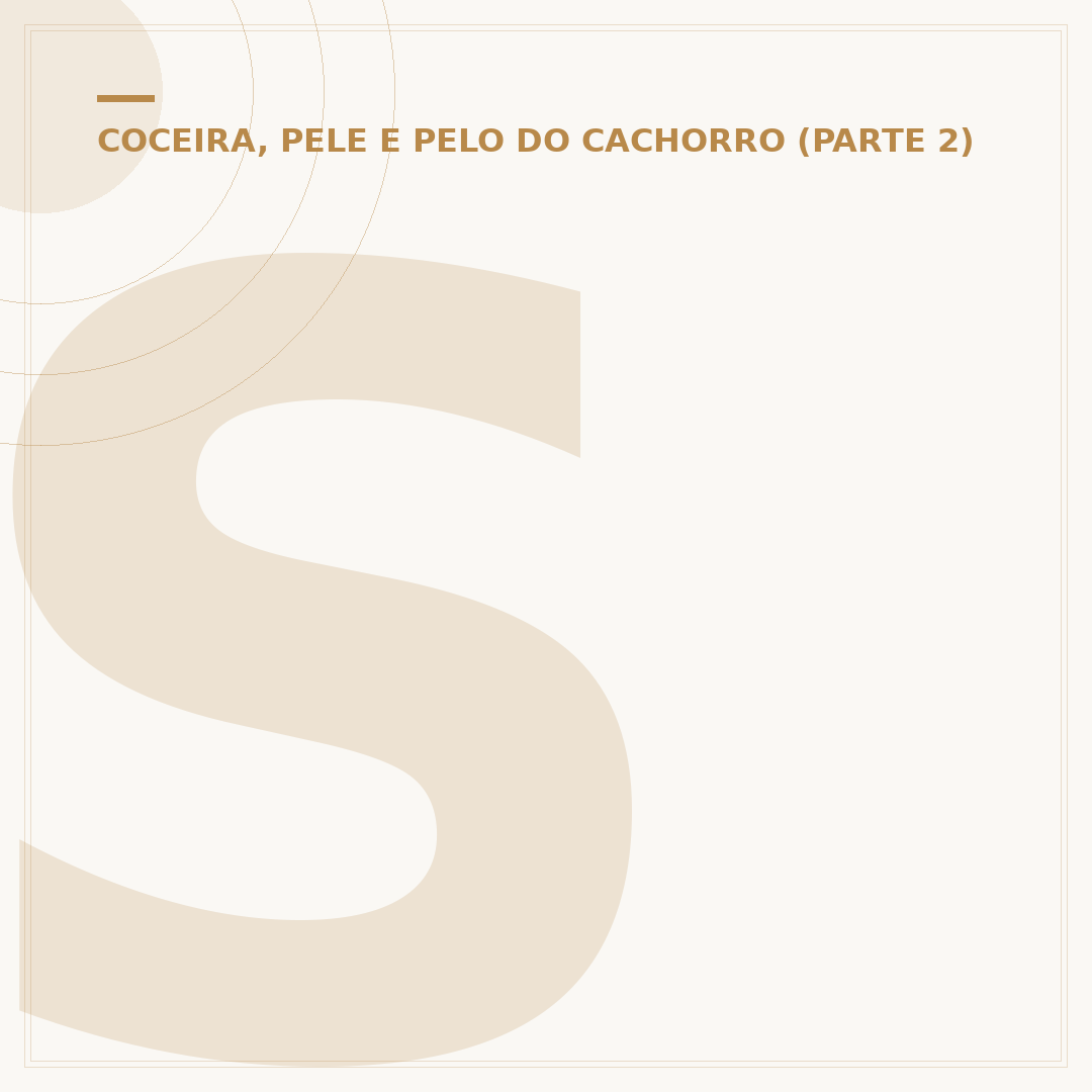 Sarna em cachorro filhote: causas, sintomas e cuidados