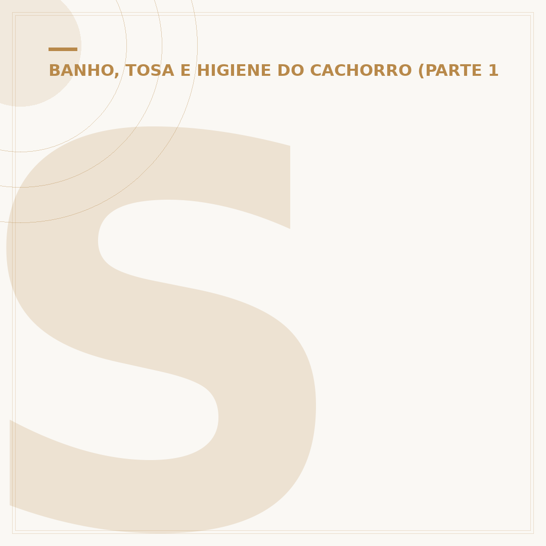 Secador para banho e tosa