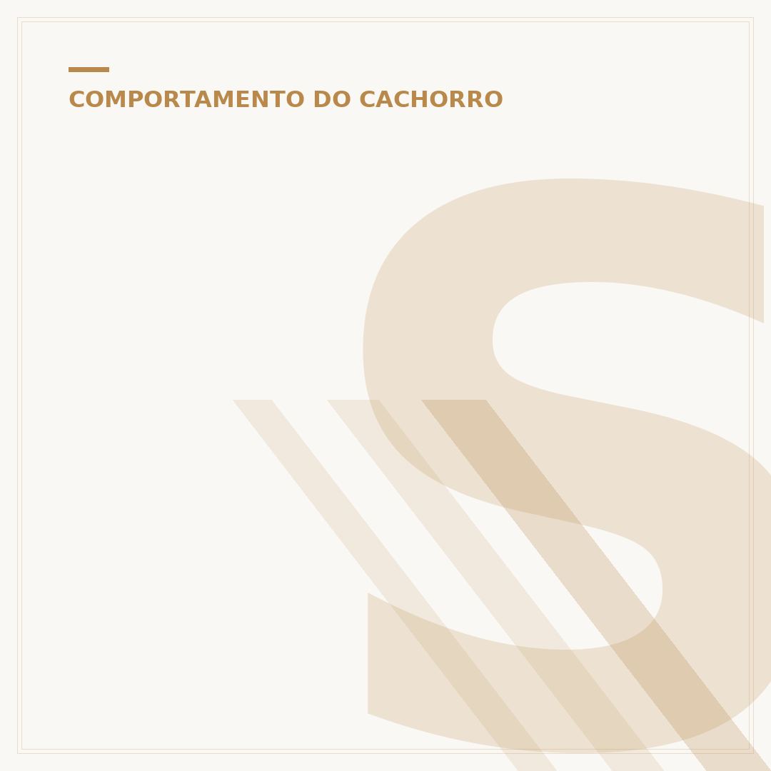 Sedativo para cachorro bravo: quando e como usar