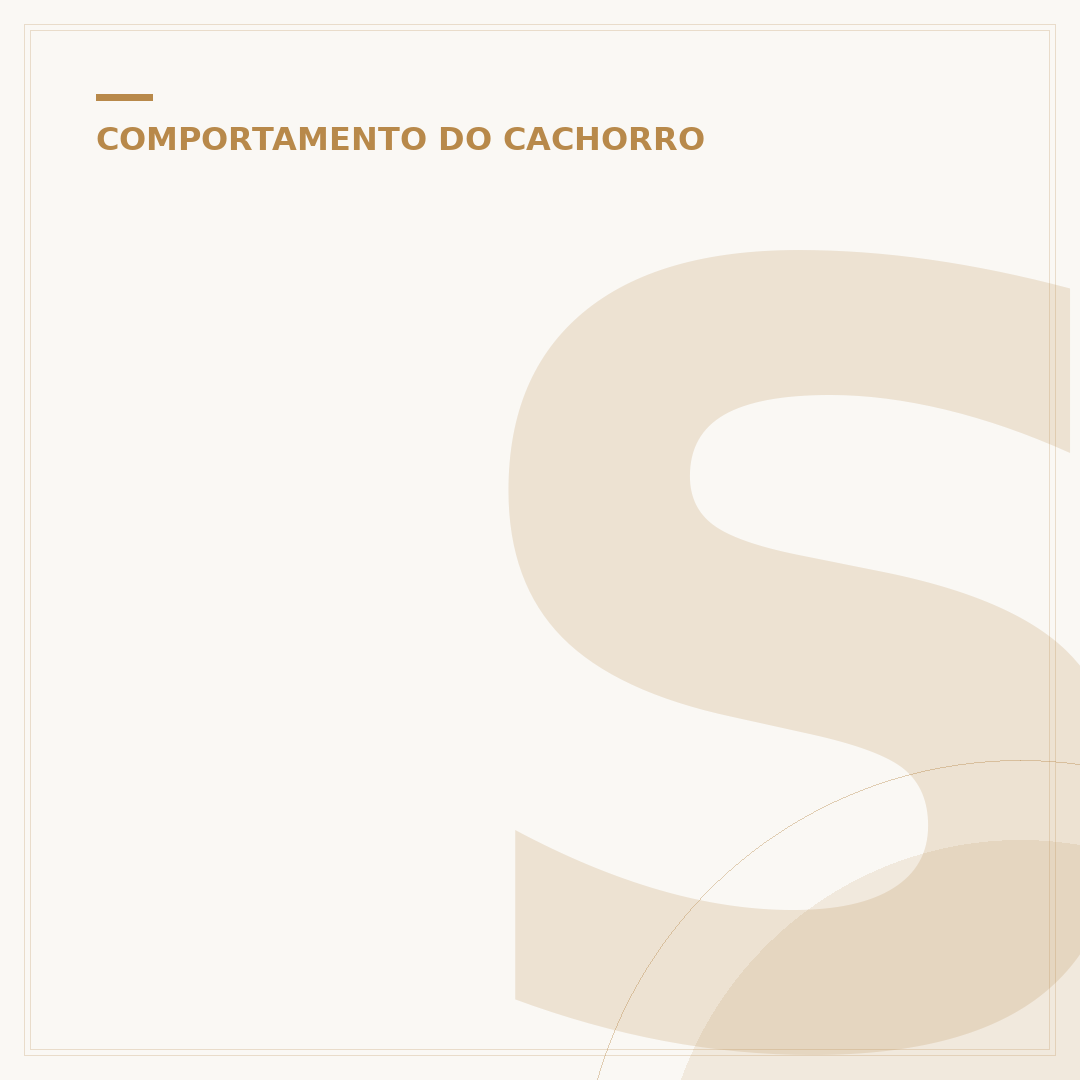 Sedativo para cachorro dormir na viagem: o que saber
