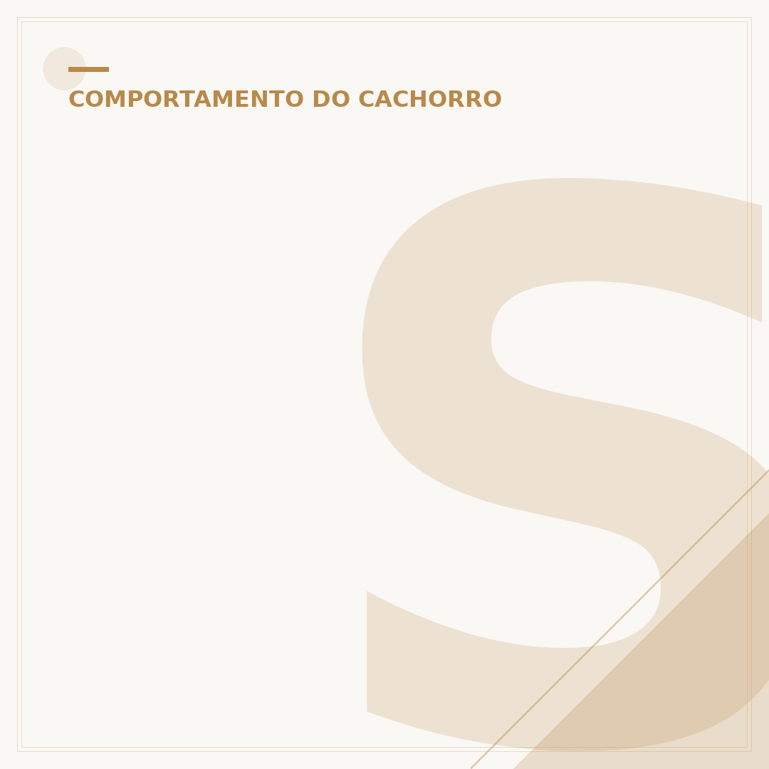 Sedativo para cachorro dormir: opções e cuidados